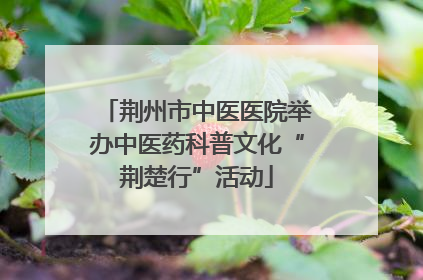 荆州市中医医院举办中医药科普文化“荆楚行”活动