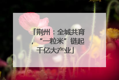 荆州：全城共育，“一粒米”链起千亿大产业