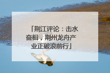 荆江评论：击水奋楫，荆州龙舟产业正破浪前行
