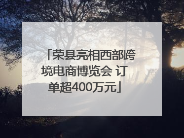 荣县亮相西部跨境电商博览会 订单超400万元