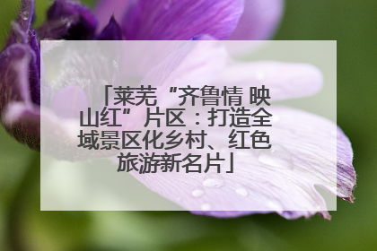 莱芜“齐鲁情 映山红”片区：打造全域景区化乡村、红色旅游新名片