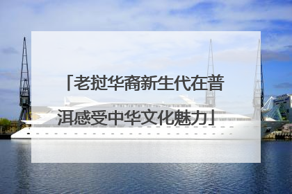 老挝华裔新生代在普洱感受中华文化魅力