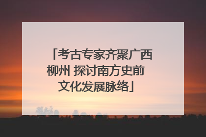 考古专家齐聚广西柳州 探讨南方史前文化发展脉络