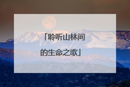 聆听山林间的生命之歌