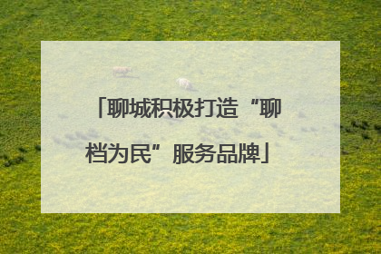 聊城积极打造“聊档为民”服务品牌