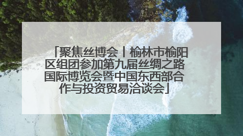 聚焦丝博会丨榆林市榆阳区组团参加第九届丝绸之路国际博览会暨中国东西部合作与投资贸易洽谈会