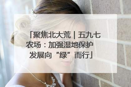 聚焦北大荒｜五九七农场：加强湿地保护 发展向“绿”而行