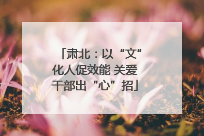 肃北：以“文”化人促效能 关爱干部出“心”招