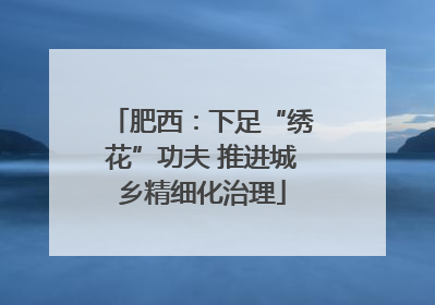 肥西：下足“绣花”功夫 推进城乡精细化治理