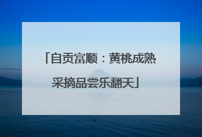自贡富顺：黄桃成熟 采摘品尝乐翻天