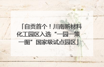 自贡首个！川南新材料化工园区入选“一园一策一图”国家级试点园区