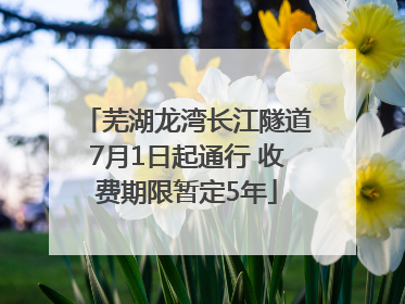 芜湖龙湾长江隧道7月1日起通行 收费期限暂定5年