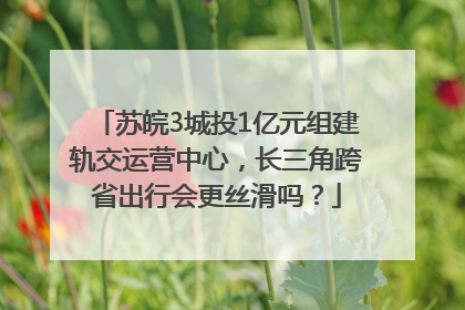 苏皖3城投1亿元组建轨交运营中心，长三角跨省出行会更丝滑吗？