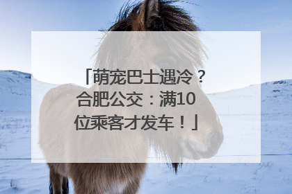 萌宠巴士遇冷？合肥公交：满10位乘客才发车！