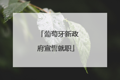 葡萄牙新政府宣誓就职