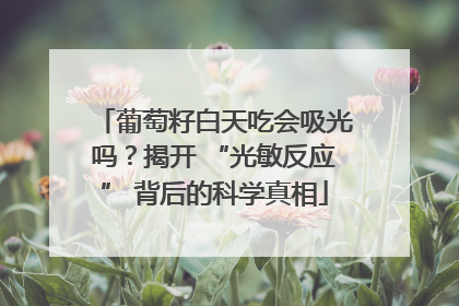 葡萄籽白天吃会吸光吗？揭开 “光敏反应” 背后的科学真相