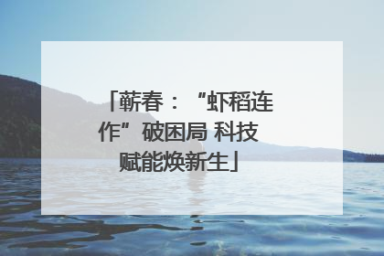 蕲春：“虾稻连作”破困局 科技赋能焕新生