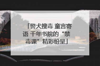 警犬搜毒 童言寄语 千年书院的“禁毒课”精彩纷呈
