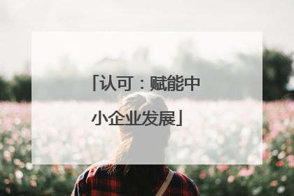 认可：赋能中小企业发展