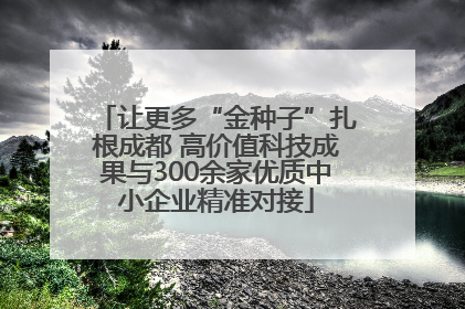 让更多“金种子”扎根成都 高价值科技成果与300余家优质中小企业精准对接
