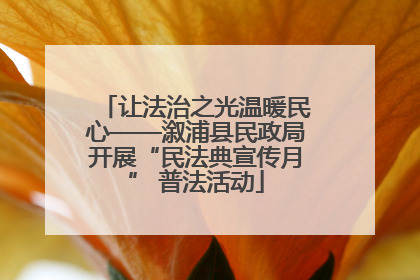 让法治之光温暖民心——溆浦县民政局开展“民法典宣传月” 普法活动