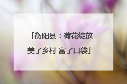 衡阳县：荷花绽放 美了乡村 富了口袋
