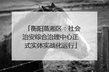 衡阳蒸湘区：社会治安综合治理中心正式实体实战化运行