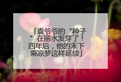 袁爷爷的“种子”在丽水发芽了！四年后，他的禾下乘凉梦这样延续