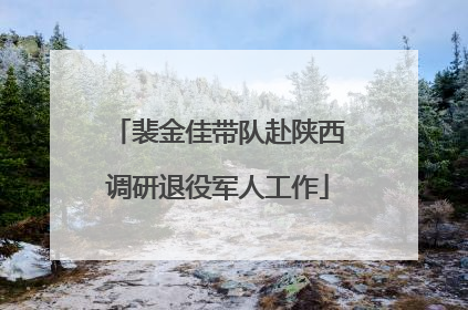 裴金佳带队赴陕西调研退役军人工作