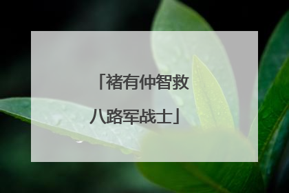 褚有仲智救八路军战士