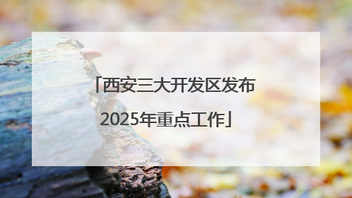 西安三大开发区发布2025年重点工作