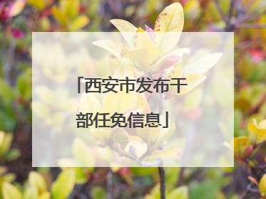 西安市发布干部任免信息