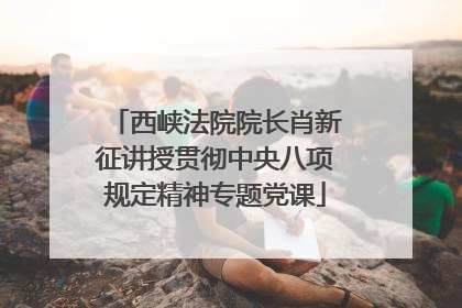 西峡法院院长肖新征讲授贯彻中央八项规定精神专题党课