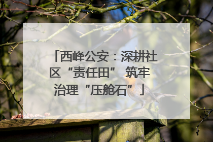 西峰公安：深耕社区“责任田” 筑牢治理“压舱石”