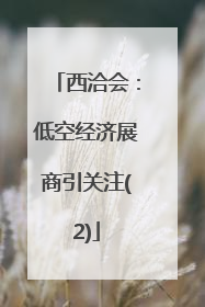 西洽会：低空经济展商引关注(2)