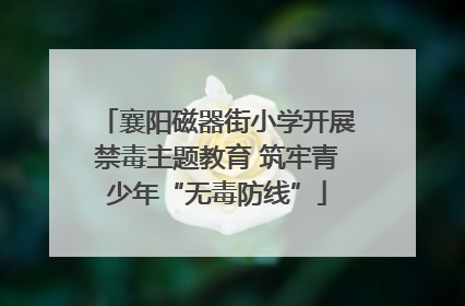 襄阳磁器街小学开展禁毒主题教育 筑牢青少年“无毒防线”