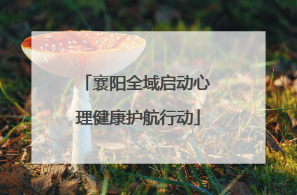 襄阳全域启动心理健康护航行动