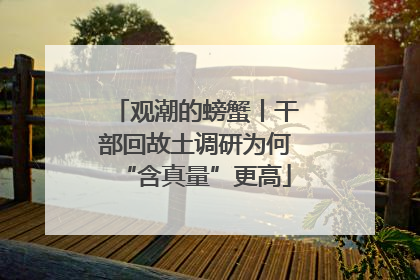 观潮的螃蟹丨干部回故土调研为何“含真量”更高