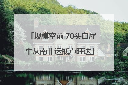 规模空前 70头白犀牛从南非运抵卢旺达