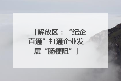 解放区：“纪企直通”打通企业发展“肠梗阻”