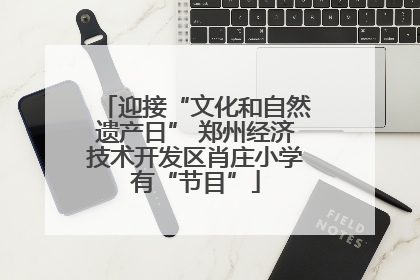 迎接“文化和自然遗产日” 郑州经济技术开发区肖庄小学有“节目”