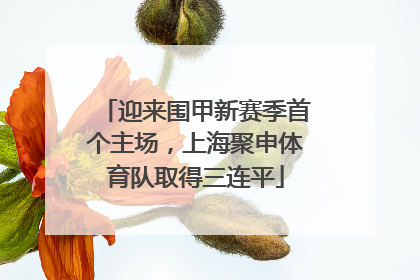 迎来围甲新赛季首个主场，上海聚申体育队取得三连平