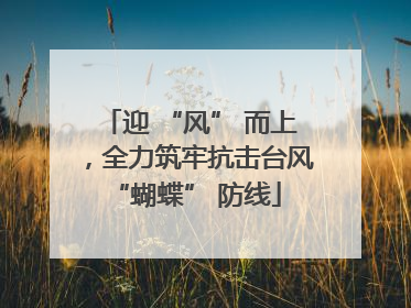 迎 “风” 而上，全力筑牢抗击台风 “蝴蝶” 防线