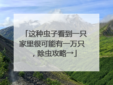 这种虫子看到一只家里很可能有一万只，除虫攻略→