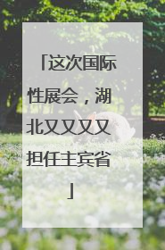 这次国际性展会，湖北又又又又担任主宾省