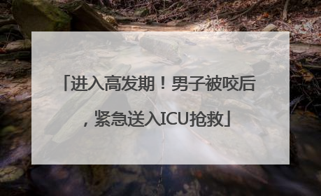 进入高发期！男子被咬后，紧急送入ICU抢救