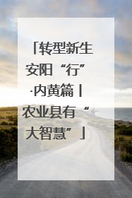 转型新生安阳“行”·内黄篇丨农业县有“大智慧”