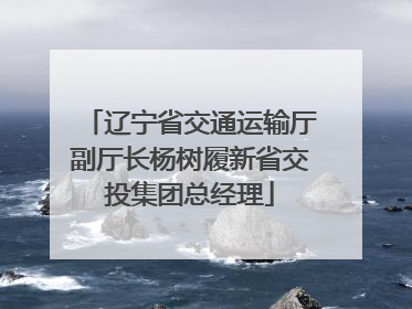 辽宁省交通运输厅副厅长杨树履新省交投集团总经理