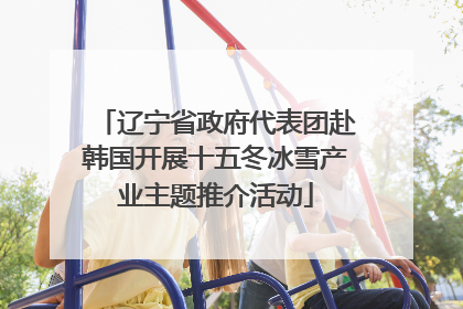辽宁省政府代表团赴韩国开展十五冬冰雪产业主题推介活动