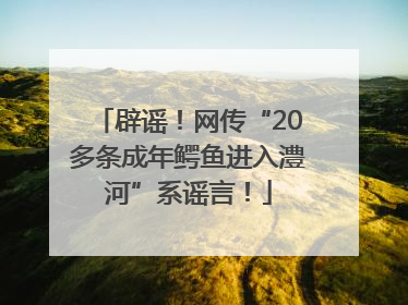 辟谣！网传“20多条成年鳄鱼进入澧河”系谣言！